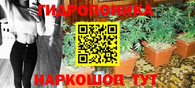 гидра Новокубанск