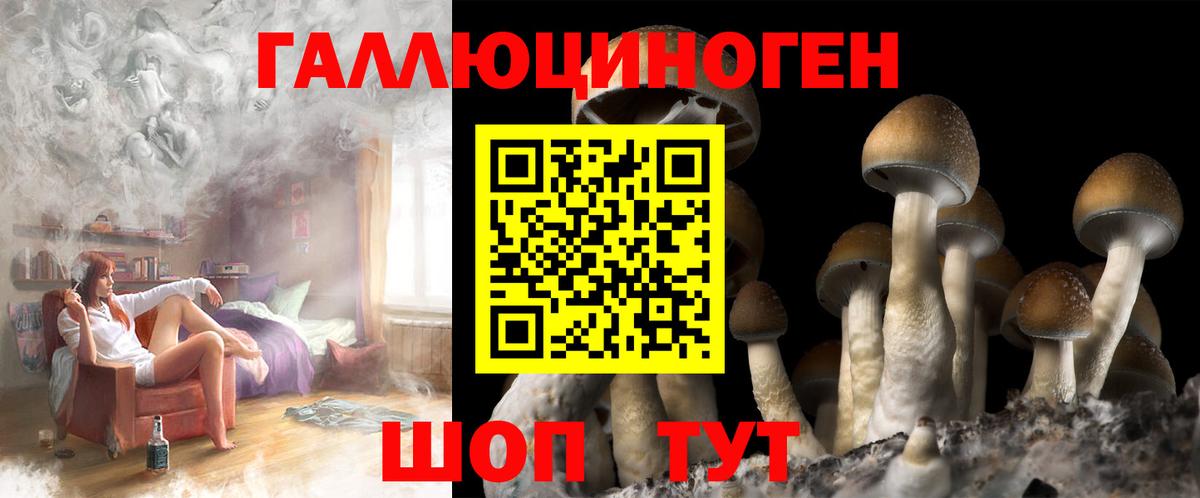 Псилоцибиновые грибы GOLDEN TEACHER Сибай
